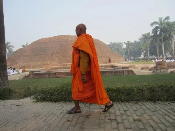 Walking with the Buddha