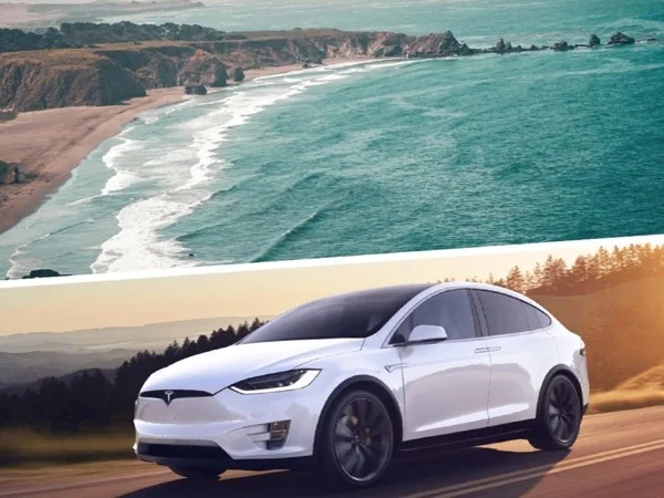Muir Woods + Sausalito in a Tesla Model X