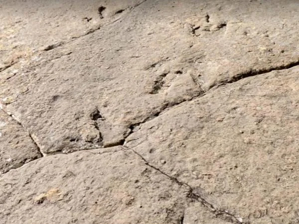 Dinosaur Footprints Tour