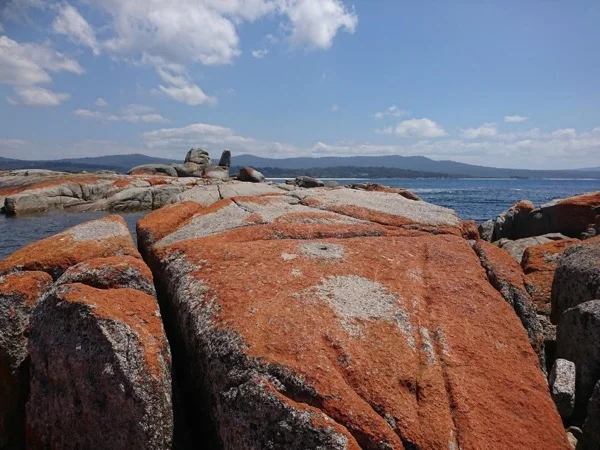 Explore Bay Of Fires with your private tour guide