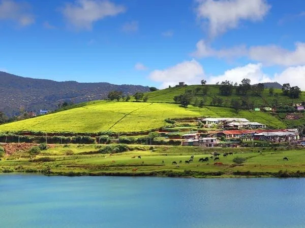 6 Days tour of Tea Plantation & Beach Stay