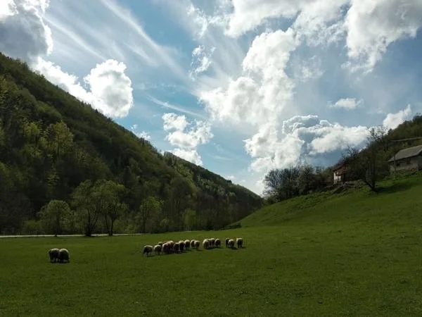 Mount Zlatibor 3 Days of Nature and Culture Heritage Private Tour from Belgrade
