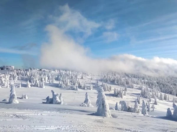 Ski vacation on Mount Kopaonik