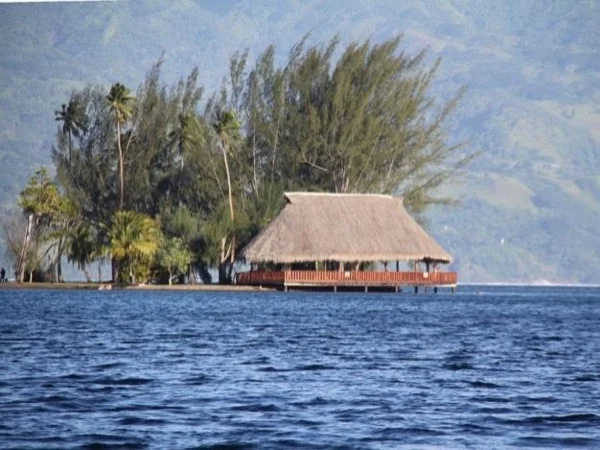 Cover media image