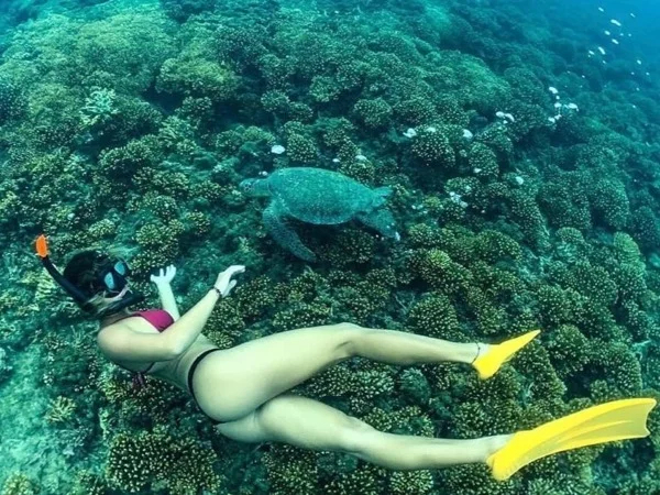 Unforgettable Scuba-Diving or Snorkeling at the Caribbean Sea
