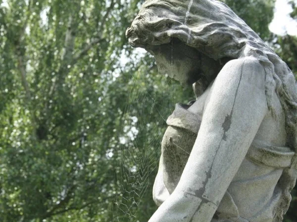 Highlights of Assistens Cemetery in the heart of Nørrebro