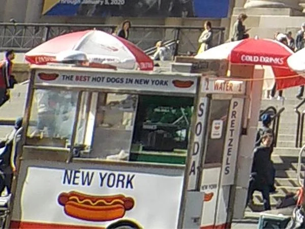 Three Hour New York Central Park Art and Food Tour