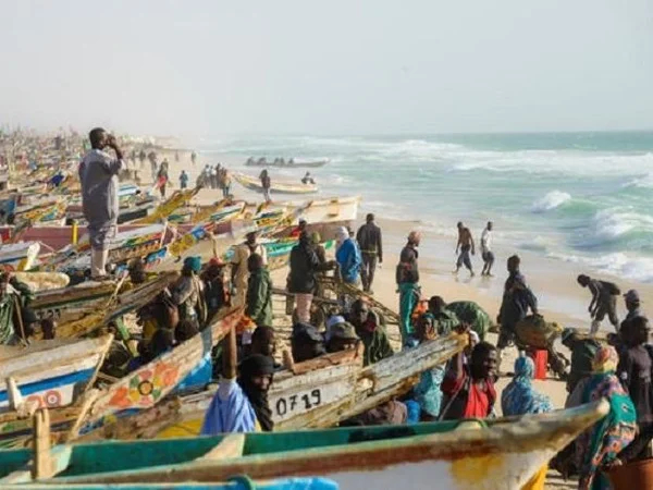 Mauritania's sea life