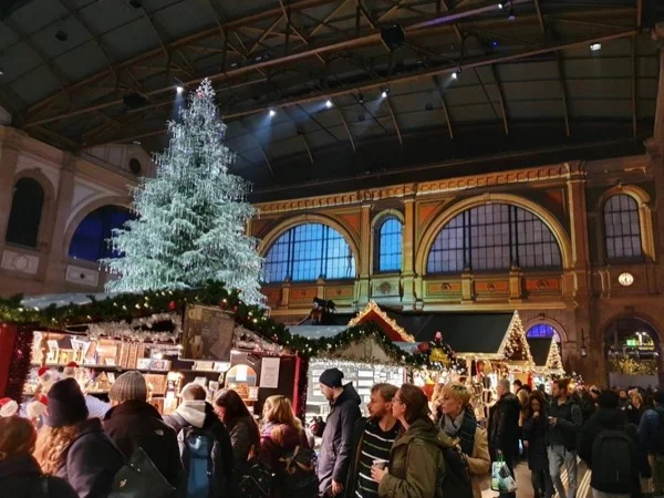 ⚜️Christmas in Zurich, Secrets & History - Private Discovery Tour⚜️