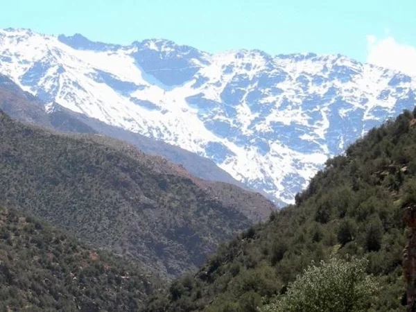 Atlas Mountains Full-Day Tour