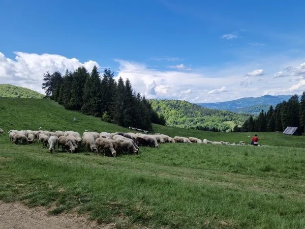 Krynica & Muszyna - A Hidden Gem Escape from Krakow