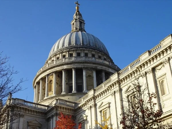 Cover media image