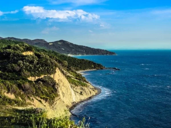 Cape of Rodon & Wine Tasting Tour Experience