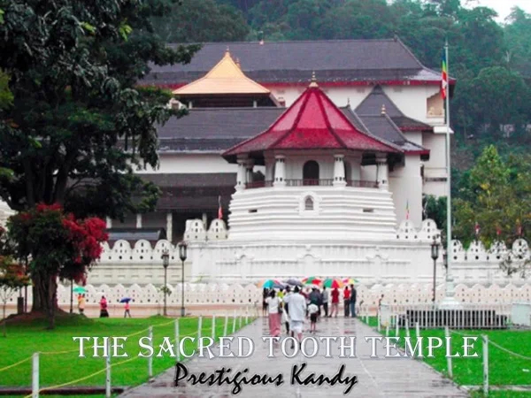 The Prestigious Kandy - Day Excursion from Colombo