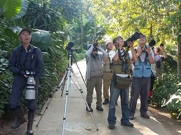 Cover media image
