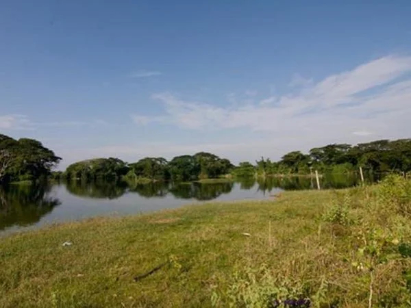 Kinta Valley - Full Day Private Tour (from Ipoh)