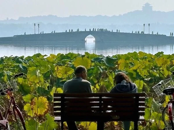 Highlights of Hangzhou City Full-Day Private Tour by Bullet Train from Shanghai