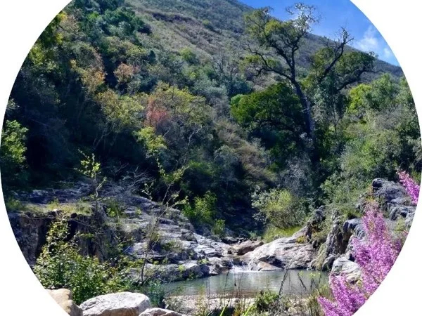Zuurberg Trail & Addo Elephant Safari Game Drive