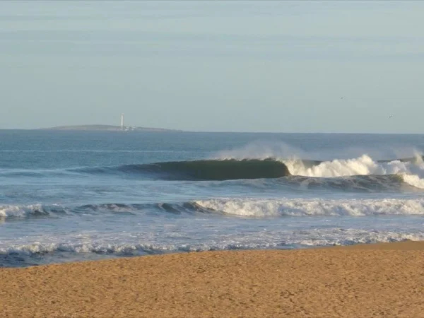 Punta del Este Highlights - Half Day Tour