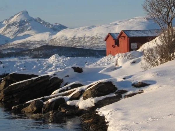 Tromsø and islands beyond - driving tour