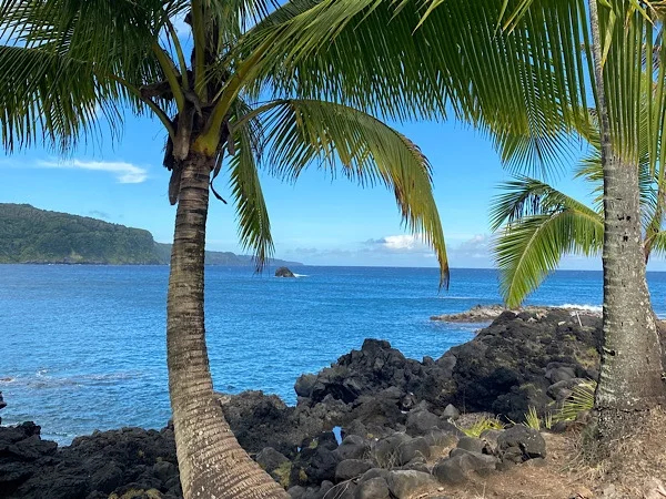 Full day shore excursion tour