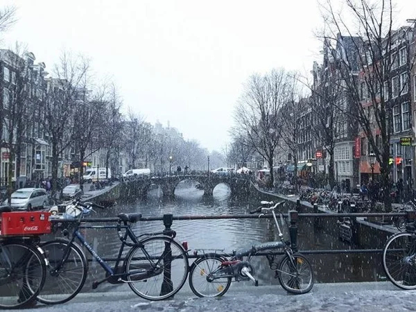 Amsterdam with a aperitif in a typical cafe' - Half day shore excursion tour