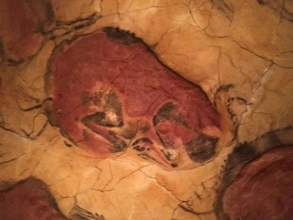 Santander Day Trip: Altamira Museum & World Heritage Caves