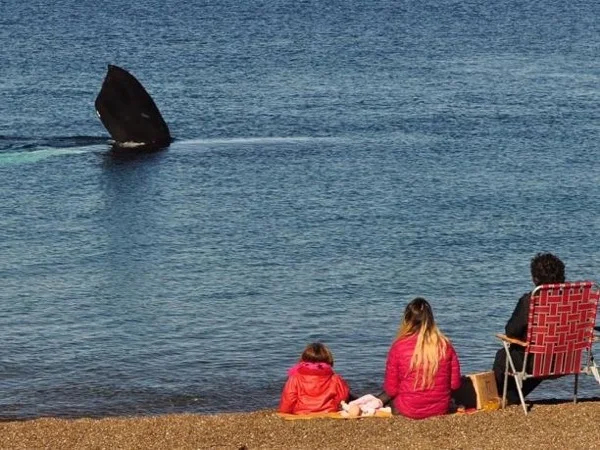 Whale watching from the coast of the "El Doradillo" area