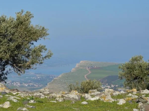 From Tel Aviv's Streets to Zionism's Roots