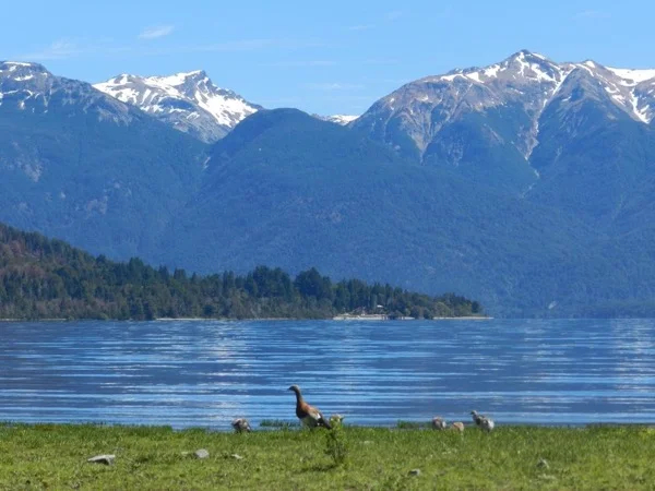 Los Alerces National Park