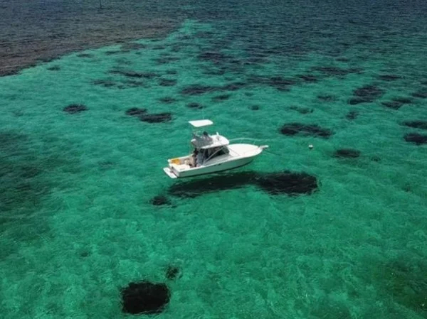 3/4 Day Grand Cayman Snorkeling and Stingray Tour