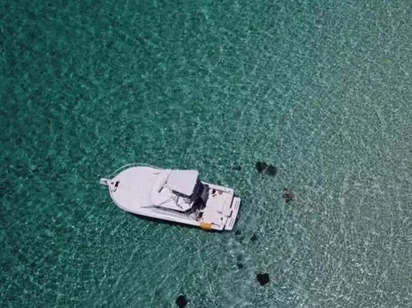 Full Day Grand Cayman Snorkeling and Stingray Tour