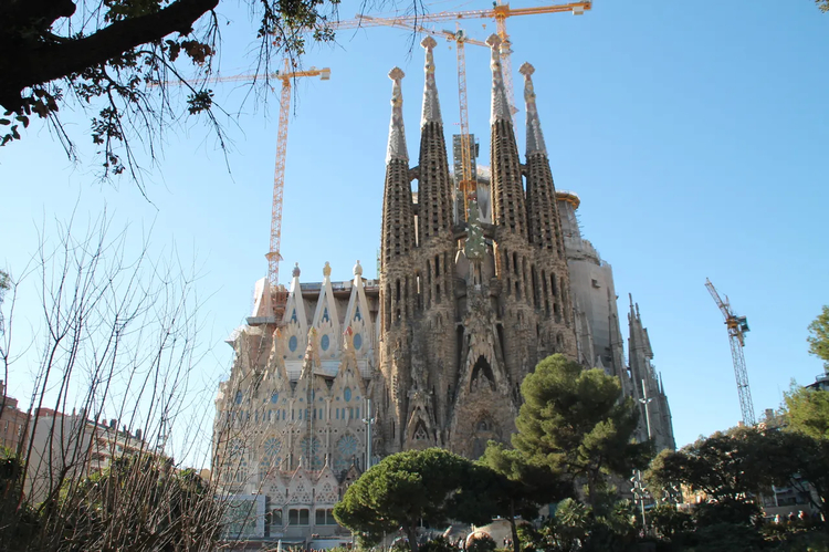 Cover media image
