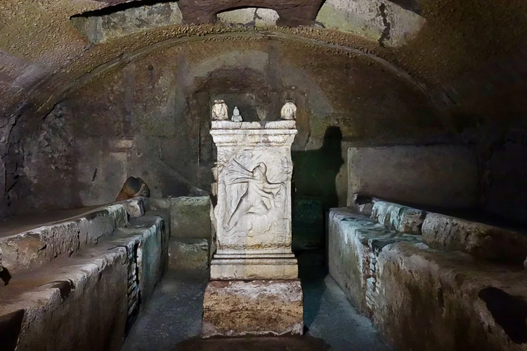Cover media image