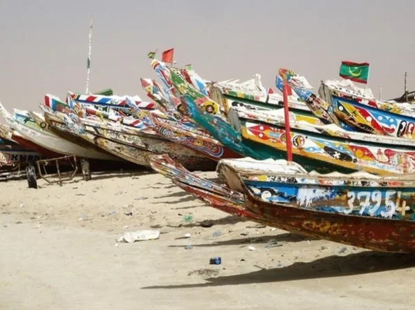 Nouakchott Artisanal Port - Private Tour