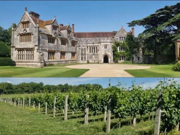 Athelhampton House, Scenic Countryside Drive and an English Country Vineyard