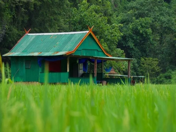 [South Sulawesi] Multi Day Exploration in the Southern Edge of Sulawesi (Customizable)