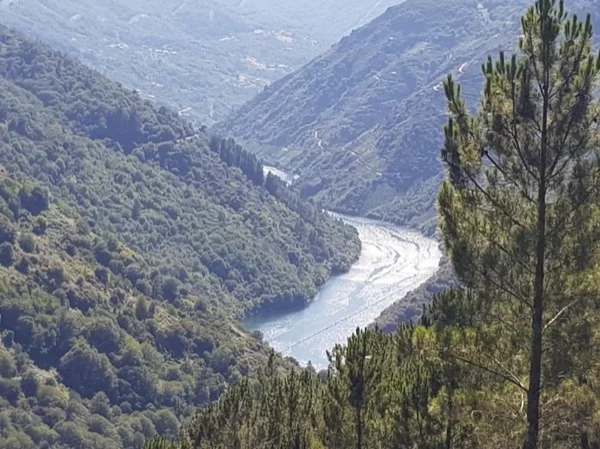 Full Day Ribeira Sacra Tour from La Coruña/Vigo