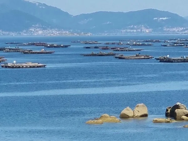 Full day Combarro and Pontevedra Tour