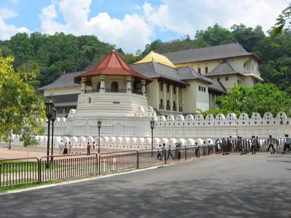 Cover media image