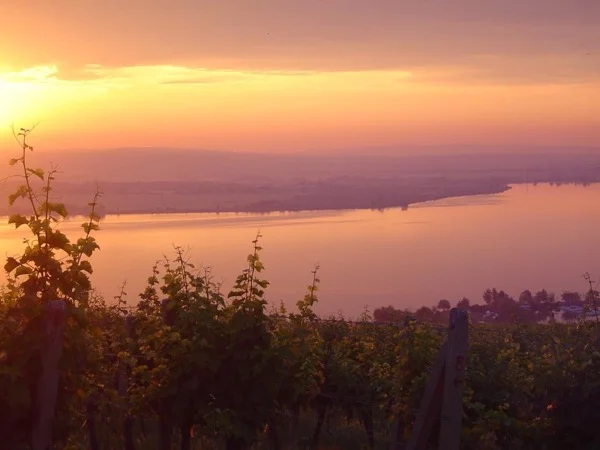 South Moravia Full Day Private Tour
