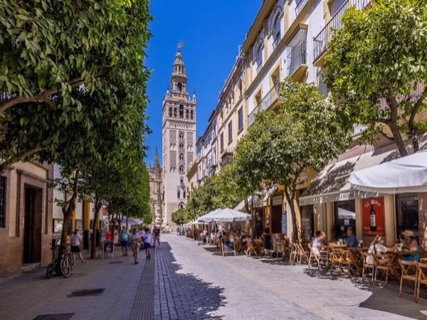Alcazar or/and Cathedral and surrounding