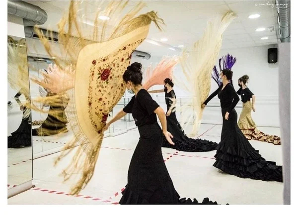 Best of sevilla and flamenco classes