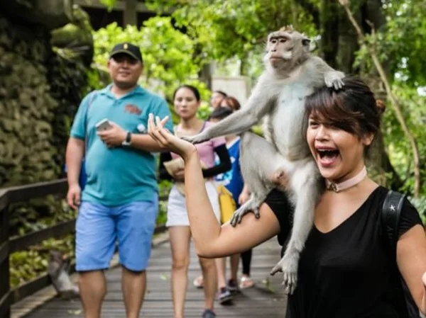 Bali Customized Private Day Tour