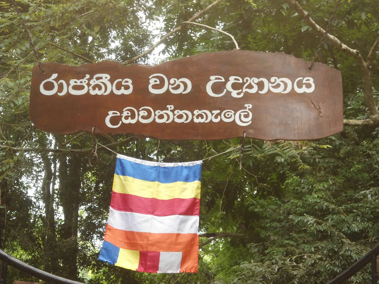 Cover media image