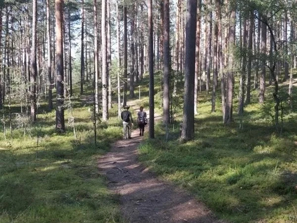 Go Wild - Tallinn Nature Half Day Tour
