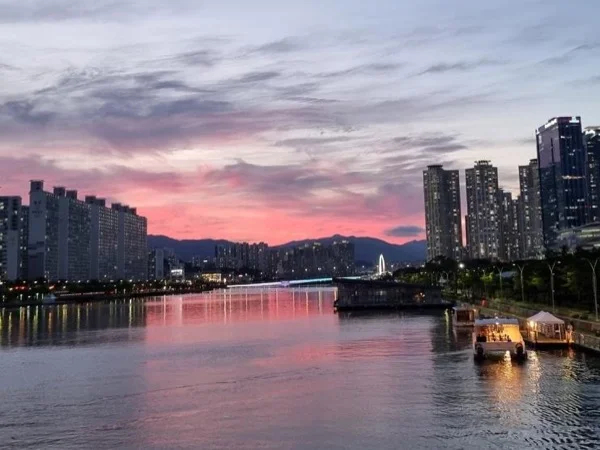 Half Day Busan Night Tour