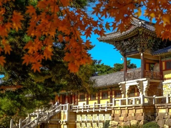 Full Day Busan Gyeongju Tour