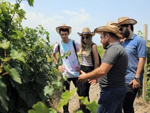 Pivate tour: Khor Virap & Mount Ararat Wine Tasting
