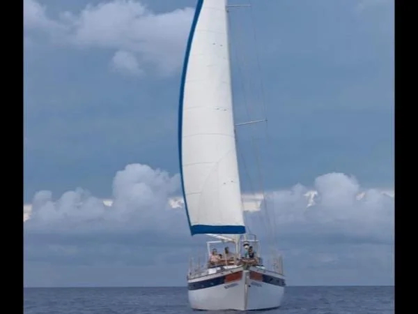 Cover media image